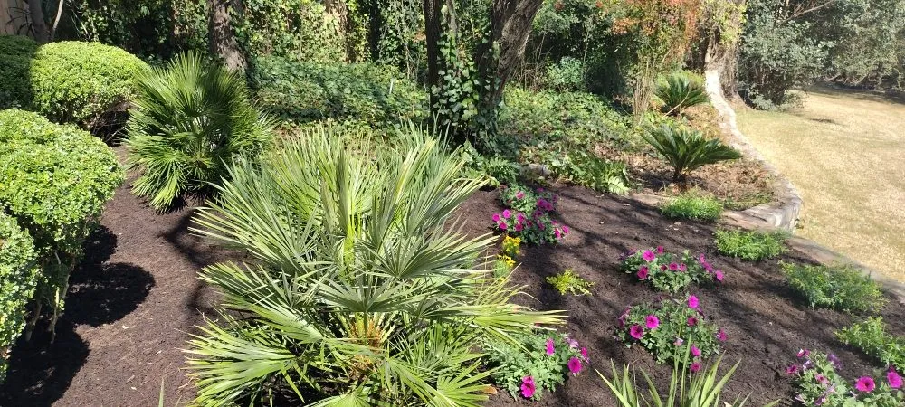 Local garden landscaping for outdoor upgrades across Austin, TX - Cruz General Contractors