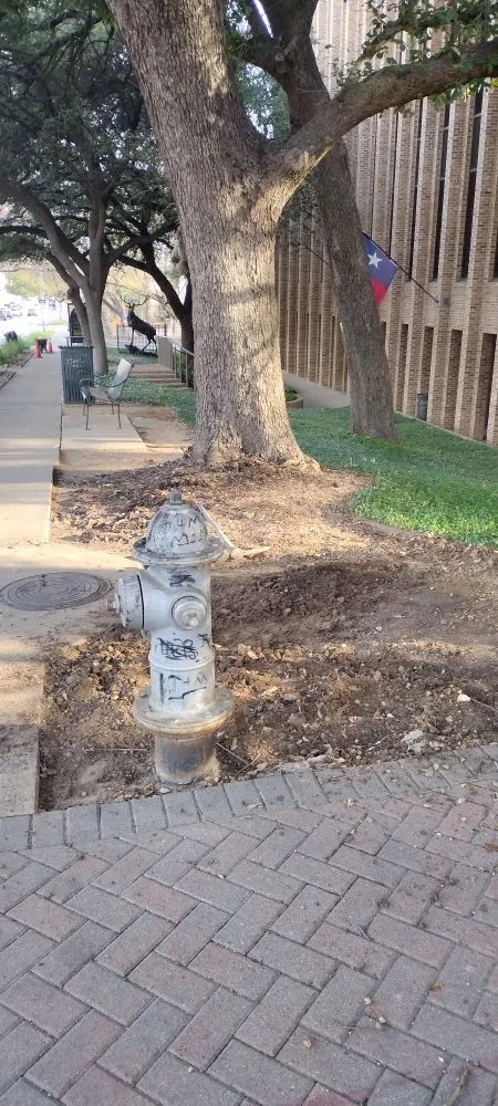 Trusted lawn care service in Austin, TX by Cruz General Contractors