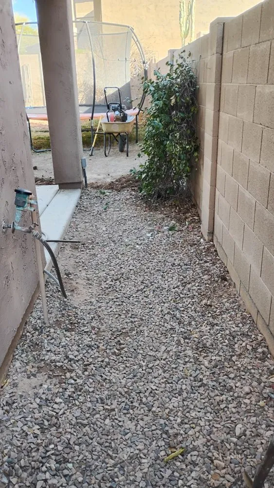 Professional yard cleanup service in Youngtown, AZ by Cruz Ladnscape