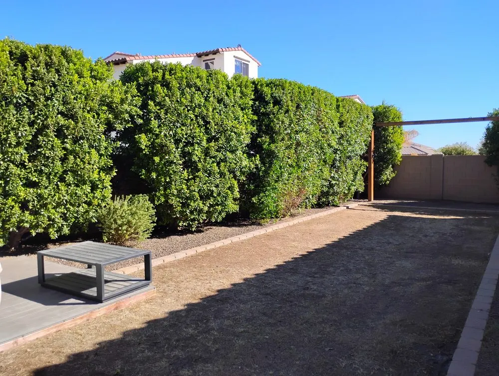 Professional outdoor landscaping experts serving Youngtown, AZ - Cruz Ladnscape