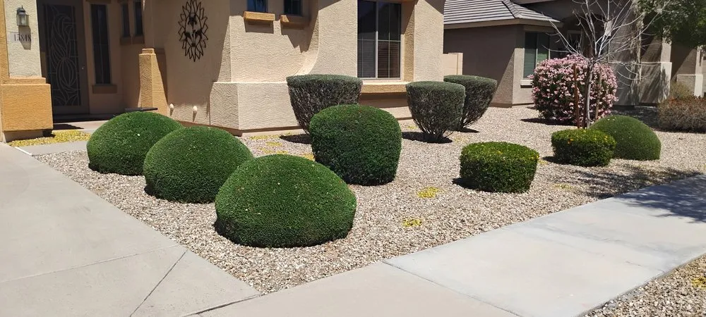 Affordable yard cleanup service for residential properties across Youngtown, AZ - Cruz Ladnscape