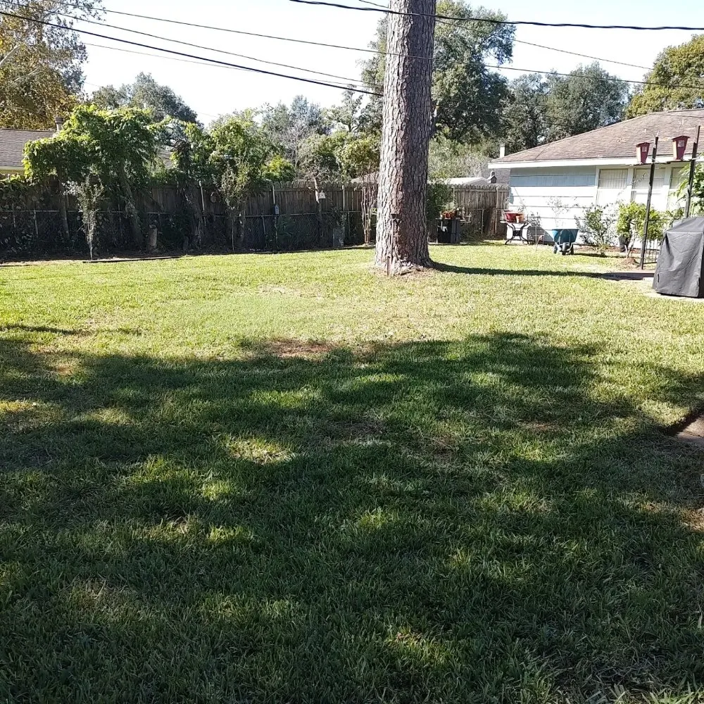 Professional landscaping services for residential properties across Houston, TX - Cruz Landscape And More