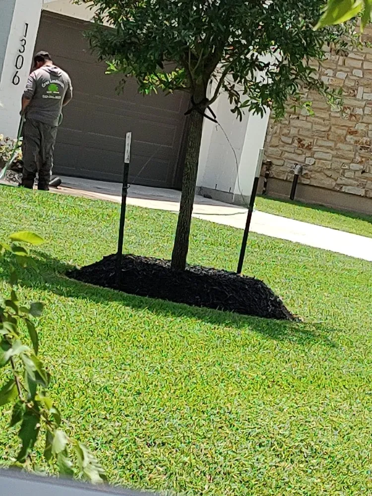 Professional lawn mowing service for year-round maintenance across Houston, TX - Cruz Landscape And More