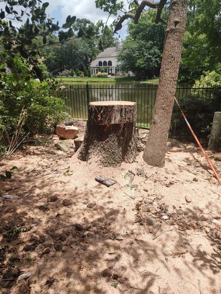 Trusted residential landscaping experts serving Houston, TX - Cruz Landscape And More