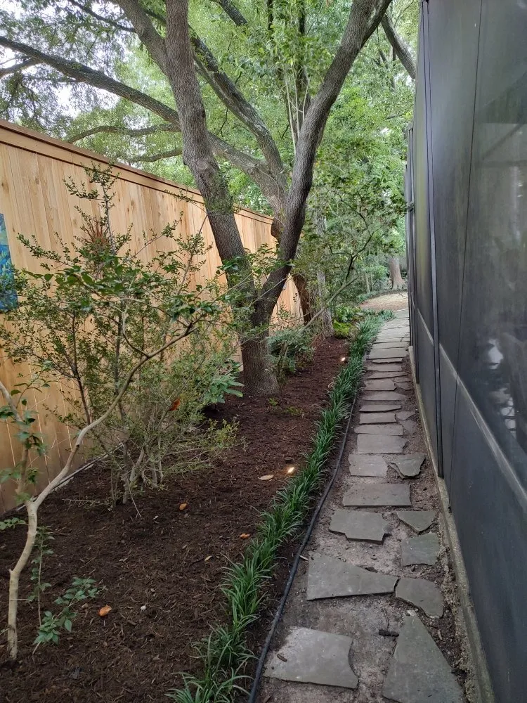 Local lawn care service for year-round maintenance across Houston, TX - Cruz Landscape And More