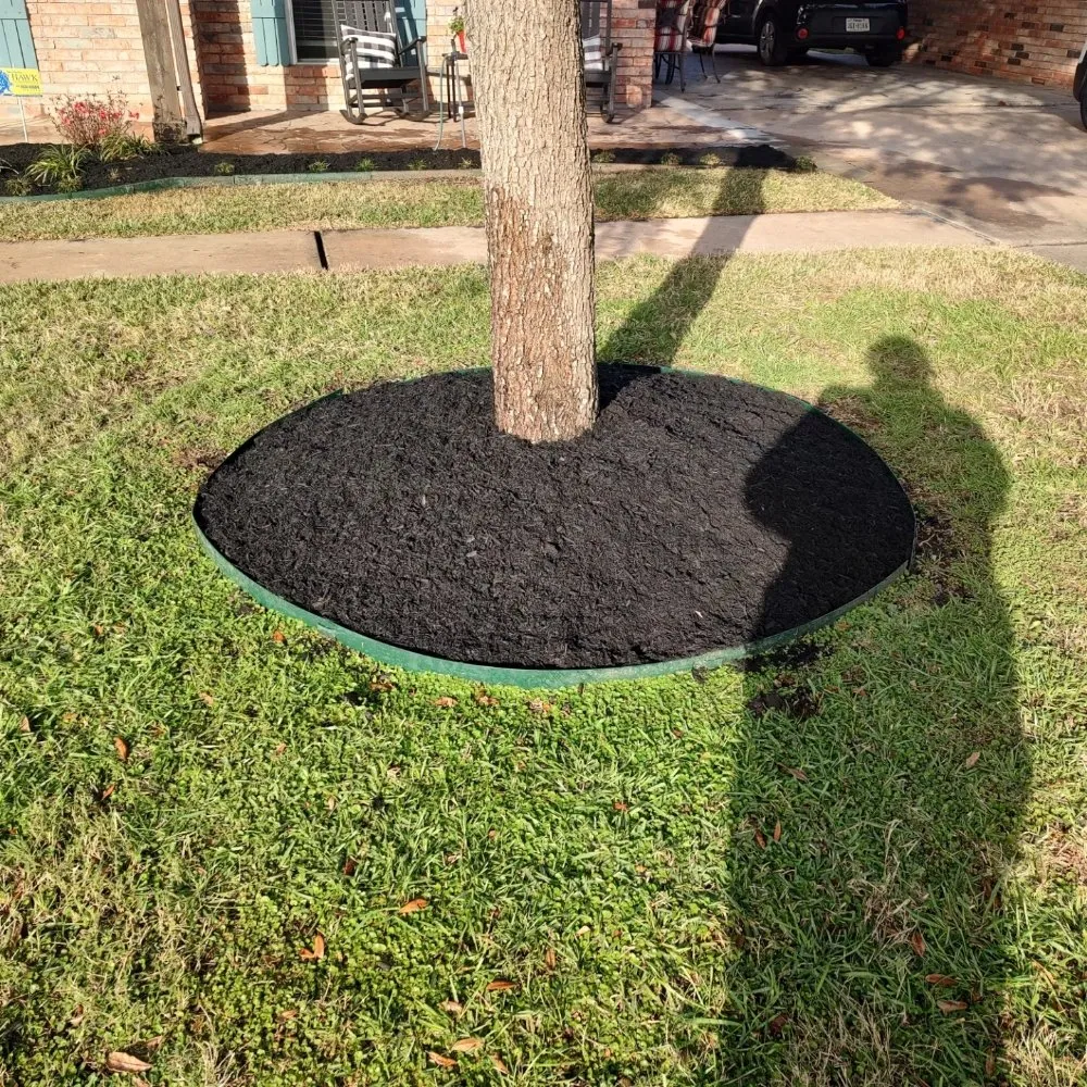 Professional lawn mowing service for year-round maintenance in Houston, TX by Cruz Landscape And More