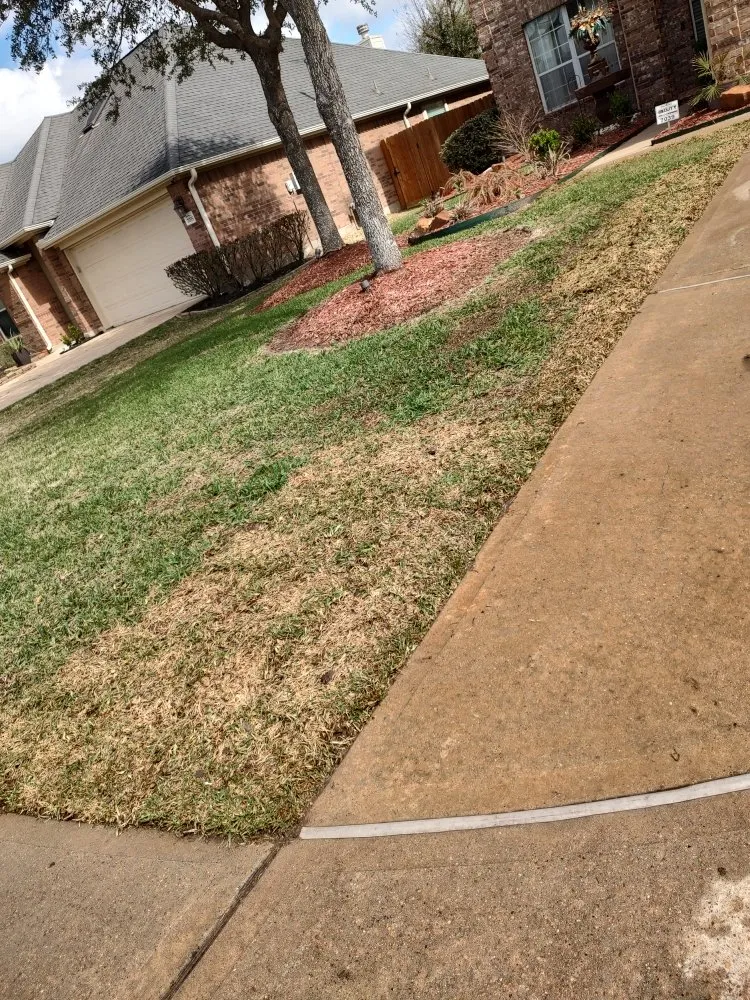 Affordable garden landscaping in Houston, TX by Cruz Landscape And More