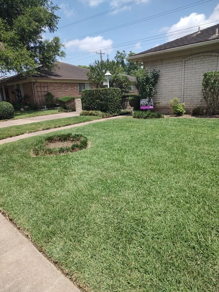 Custom yard maintenance experts serving Houston, TX - Cruz Landscape And More