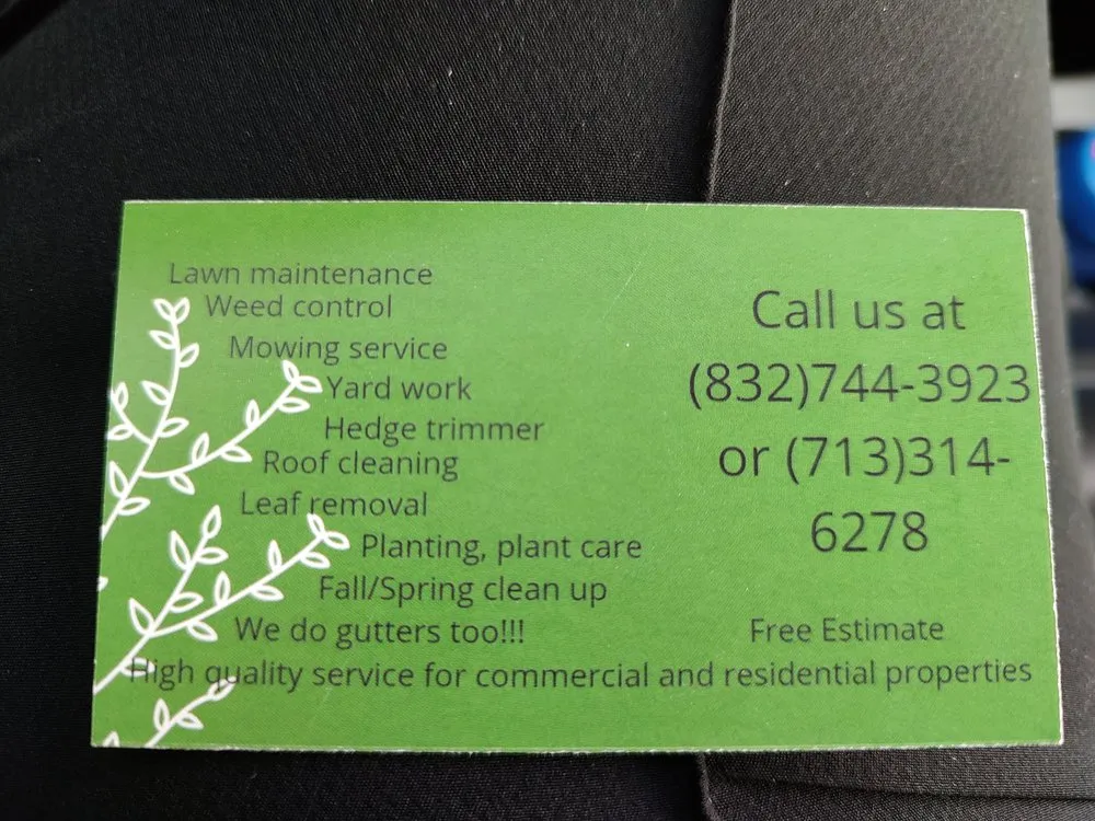 Reliable lawn care service with custom design in Houston, TX by Cruz Landscape And More