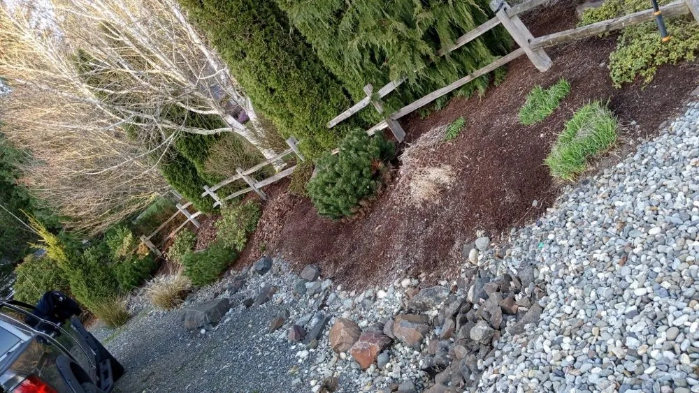 Reliable landscape design for year-round maintenance in Marysville, WA by Cruz Landscape