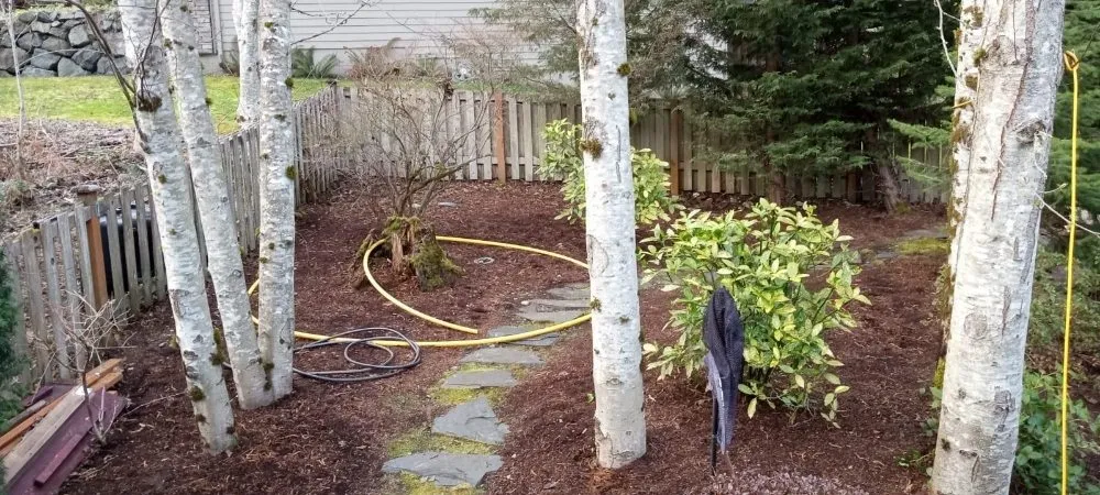 Custom yard cleanup service for residential properties in Marysville, WA by Cruz Landscape