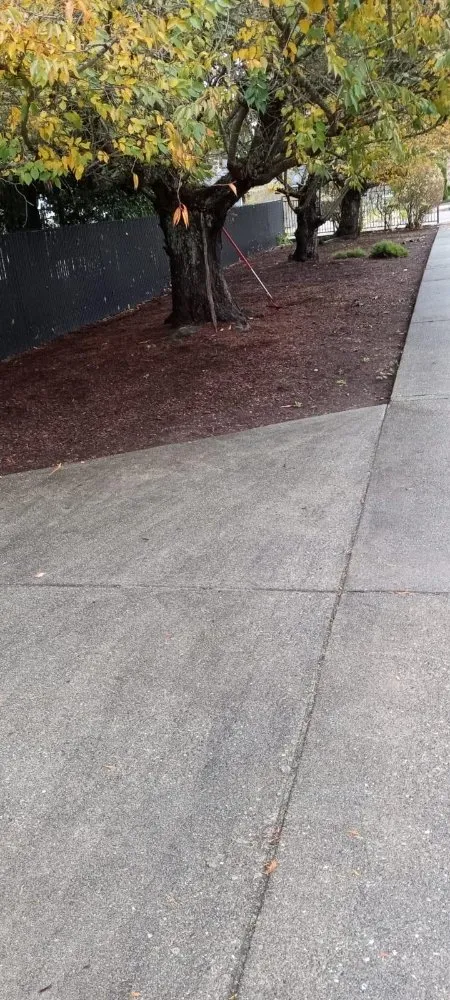 Reliable yard cleanup service near you in Marysville, WA by Cruz Landscape