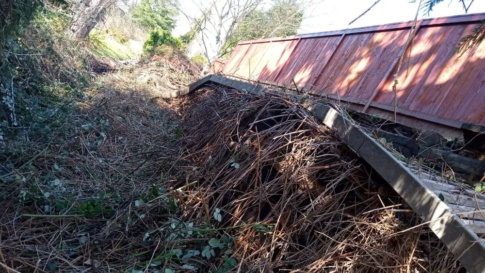 Reliable lawn mowing service for outdoor upgrades across Marysville, WA - Cruz Landscape