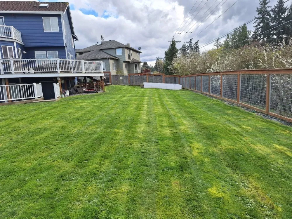 Trusted yard cleanup service for beautiful yards across Marysville, WA - Cruz Landscape