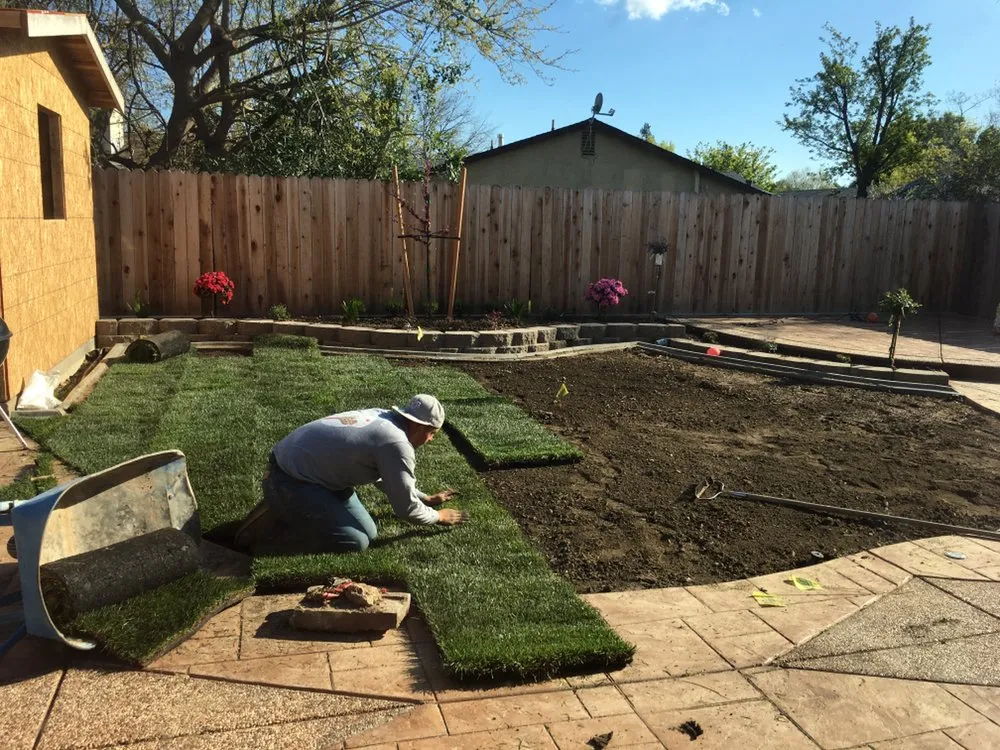 Professional lawn care service in Sacramento, CA by Cruz Landscaping & Design