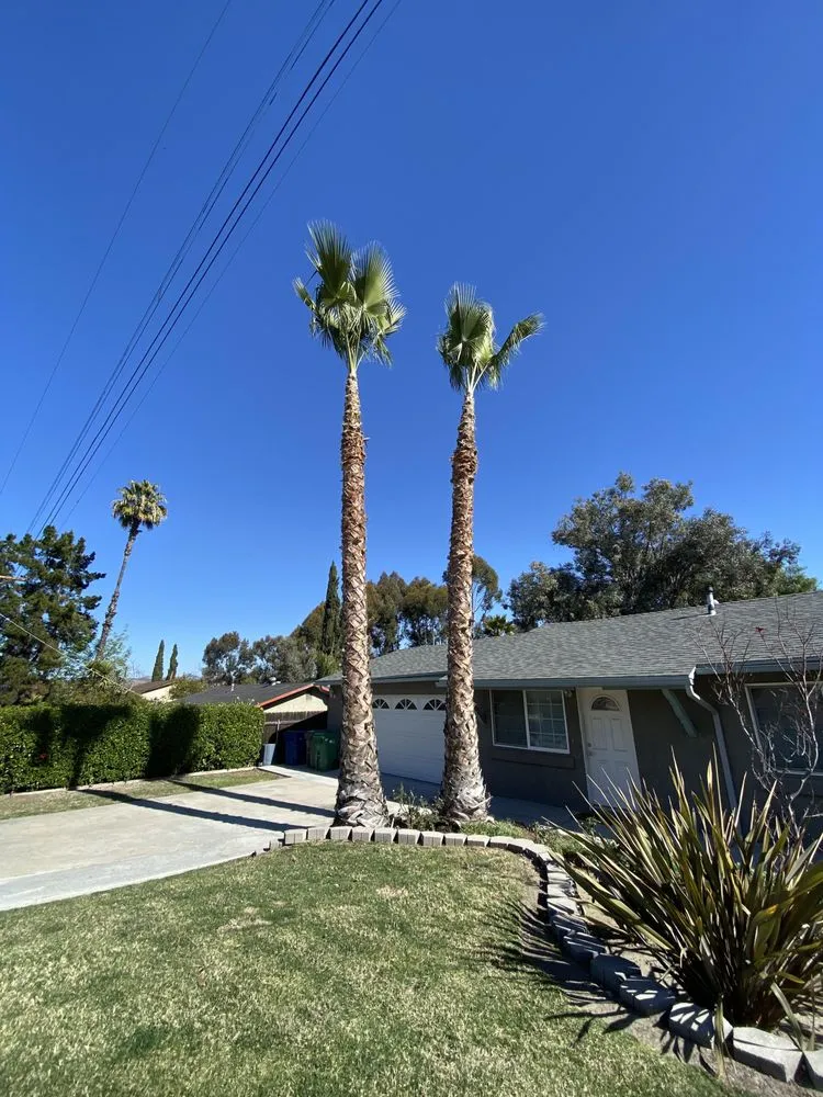 Reliable lawn care service experts serving San Diego, CA - Cruz Landscaping & Maintenance