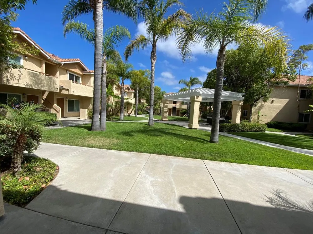 Professional landscape installation in San Diego, CA by Cruz Landscaping & Maintenance