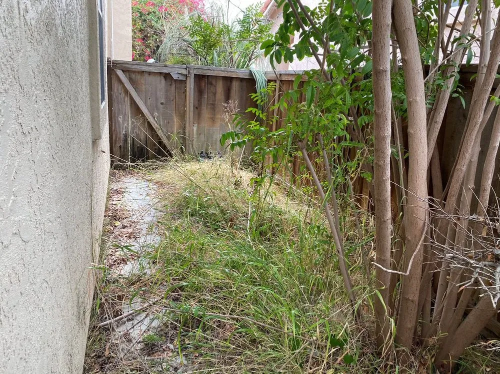 Top-rated yard maintenance experts serving San Diego, CA - Cruz Landscaping & Maintenance