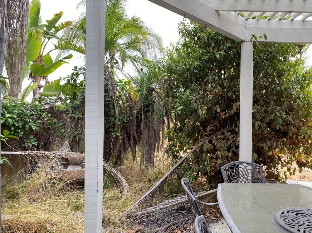 Trusted landscape design for outdoor upgrades across San Diego, CA - Cruz Landscaping & Maintenance