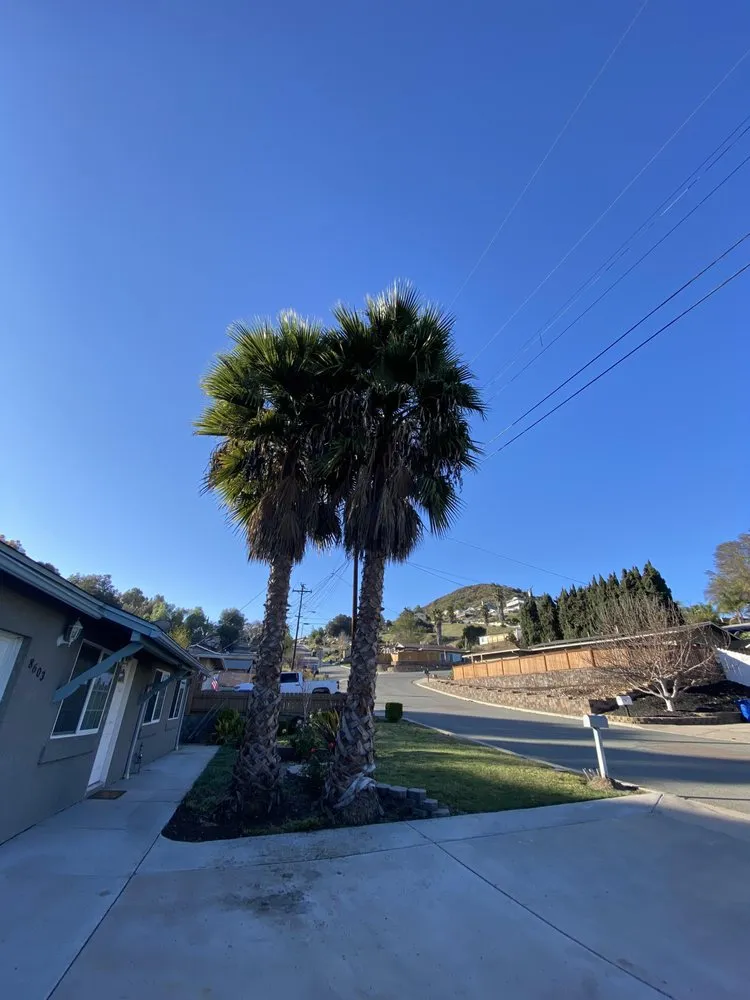 Expert yard maintenance in San Diego, CA - Cruz Landscaping & Maintenance