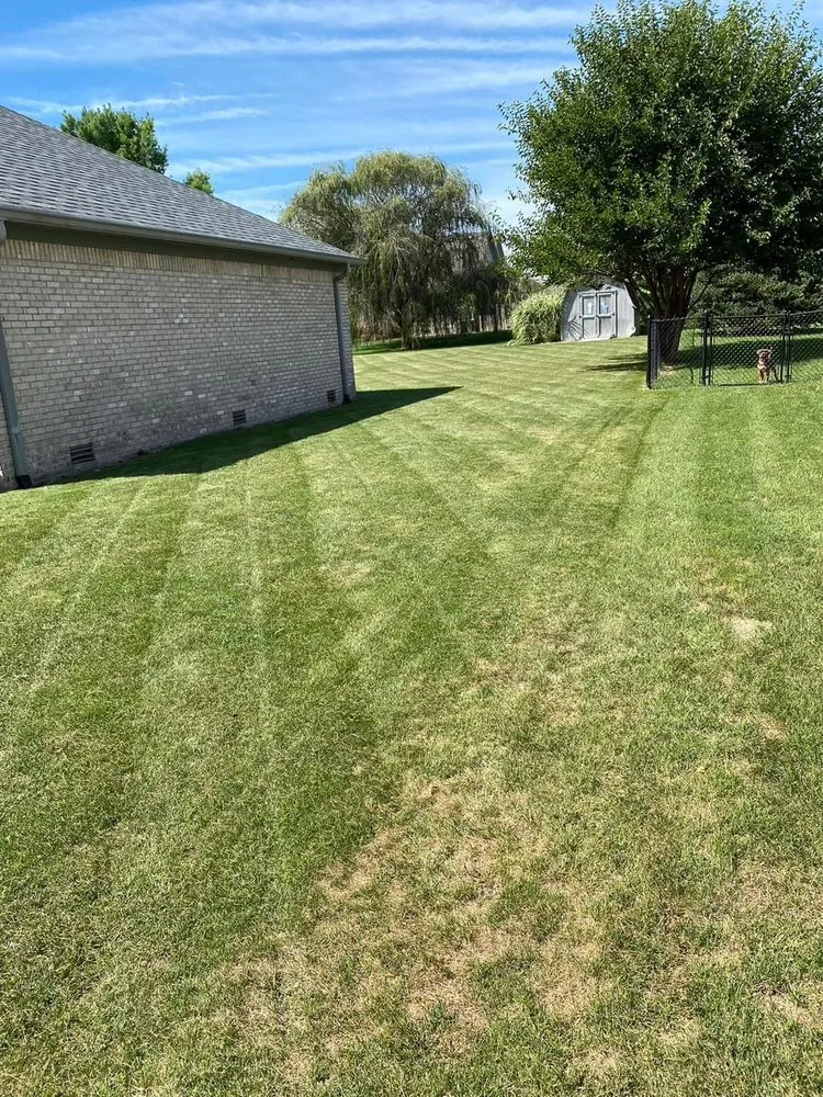 Professional yard cleanup service in Indianapolis, IN by Cruz Landscaping and Mowing