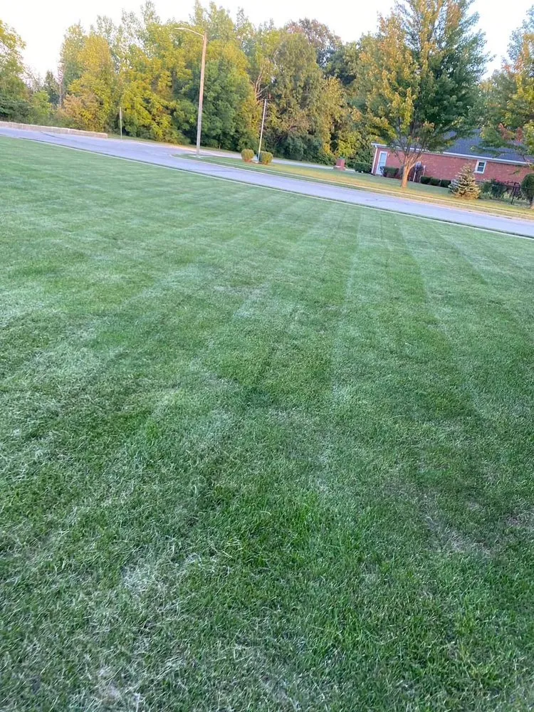 Reliable lawn care service experts serving Indianapolis, IN - Cruz Landscaping and Mowing