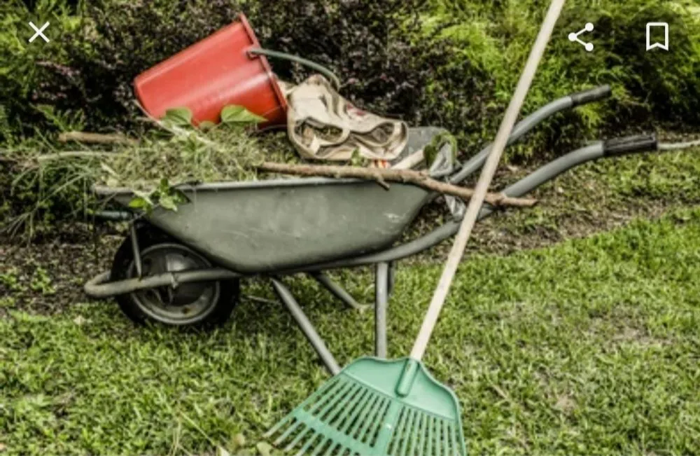 Expert yard cleanup service for beautiful yards across Bound Brook, NJ - Cruz Landscaping