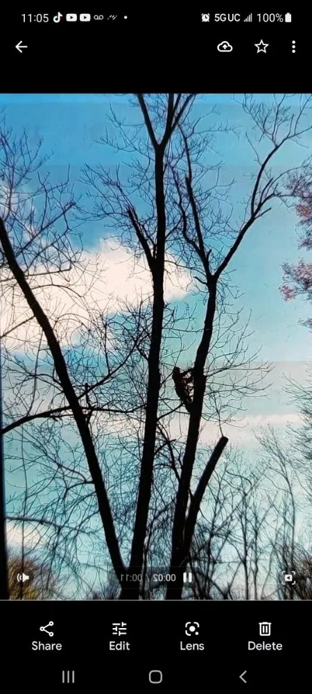 Trusted garden landscaping in Bound Brook, NJ - Cruz Landscaping