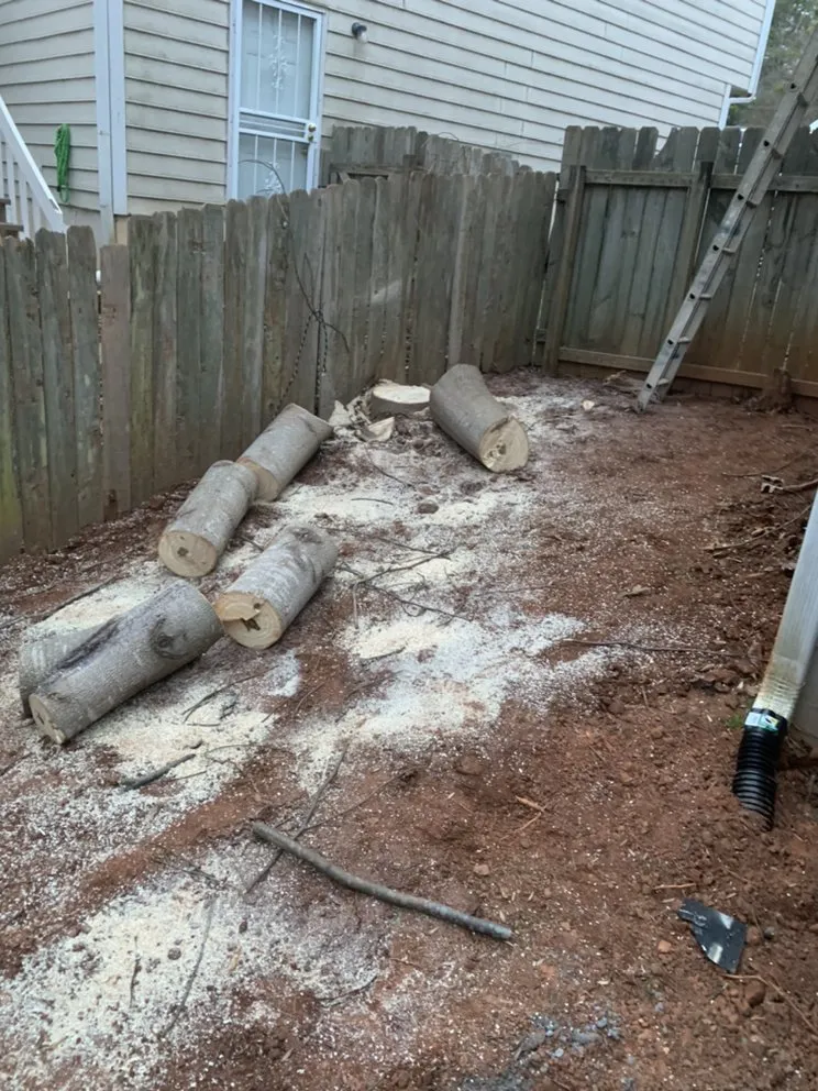 Reliable lawn mowing service for residential properties in Smyrna, GA by Cruz Landscaping Creations