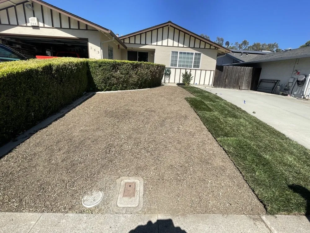 Affordable landscaping services experts serving Fairfield, CA - Cruz Landscaping