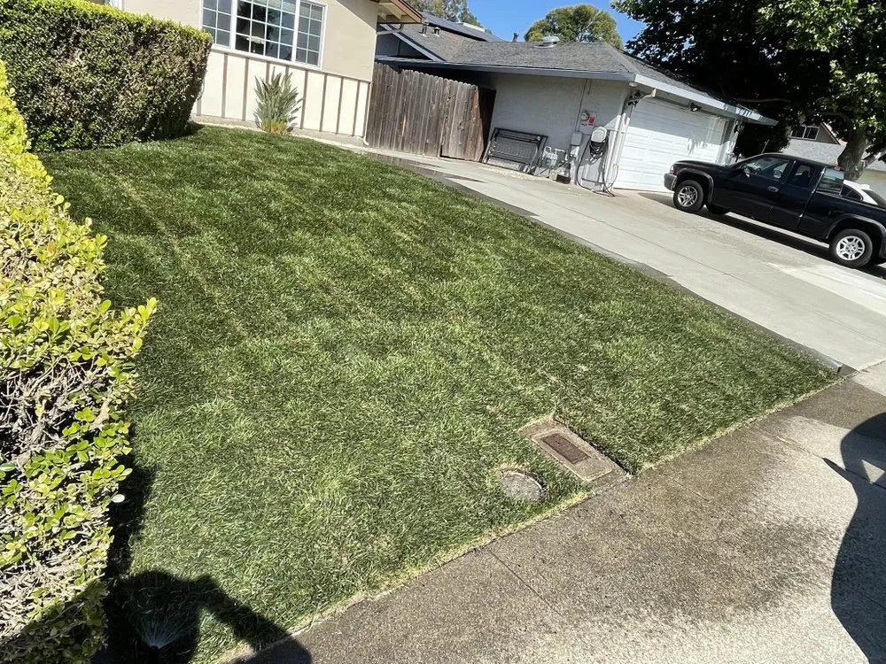 Top-rated lawn care service experts serving Fairfield, CA - Cruz Landscaping