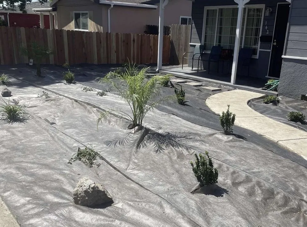 Reliable yard cleanup service for beautiful yards in Fairfield, CA by Cruz Landscaping