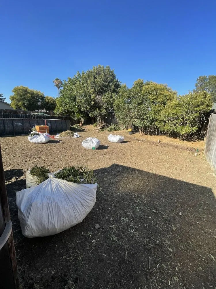 Top-rated yard maintenance in Fairfield, CA by Cruz Landscaping