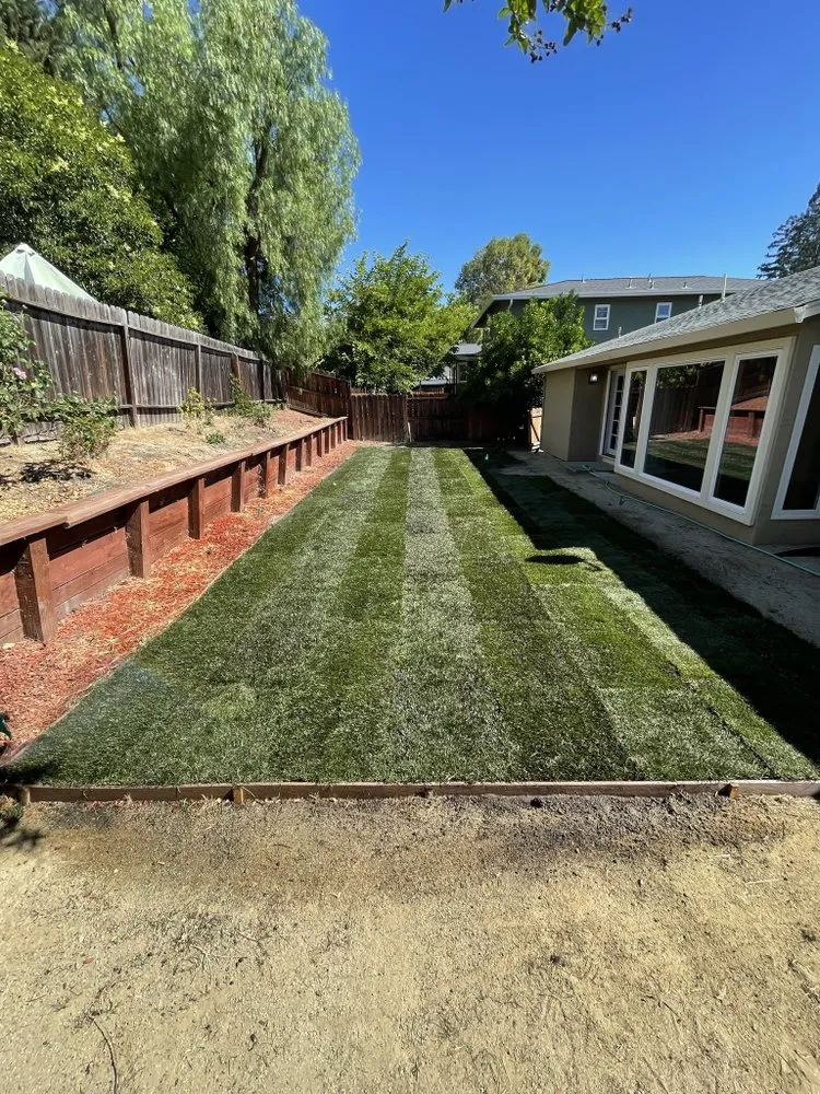 Custom landscape design in Fairfield, CA - Cruz Landscaping