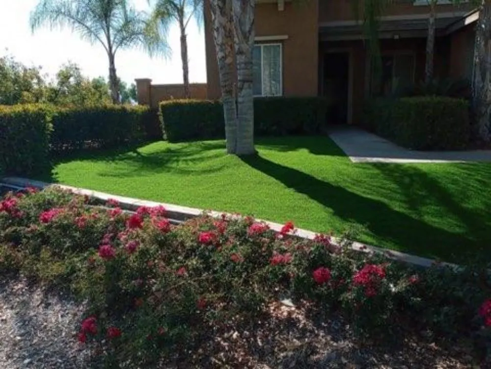 Custom yard maintenance in Hemet, CA - Cruz Landscaping