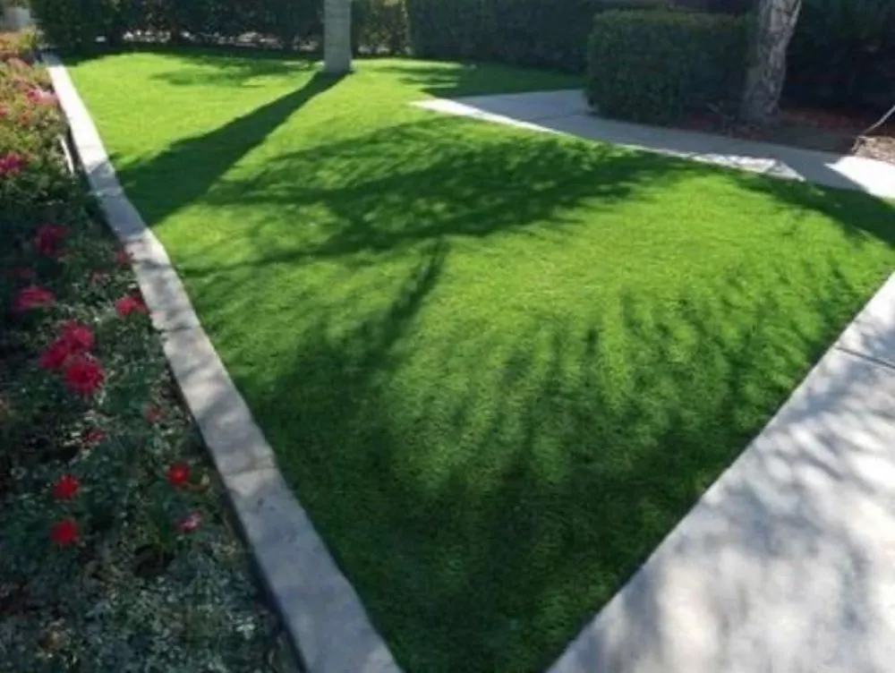 Affordable yard maintenance in Hemet, CA - Cruz Landscaping