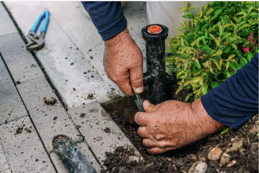 Custom outdoor landscaping in Knoxville, TN by Cruz Landscaping