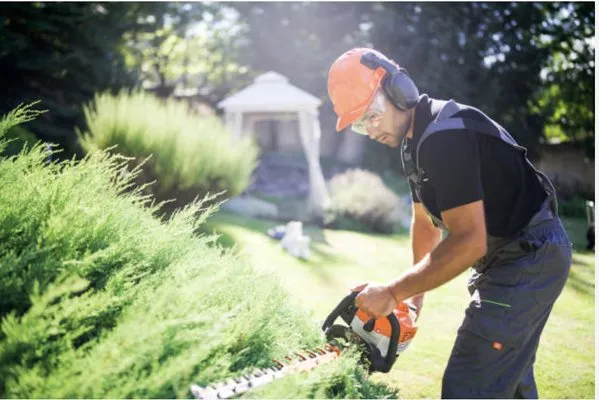 Cruz Landscaping Logo