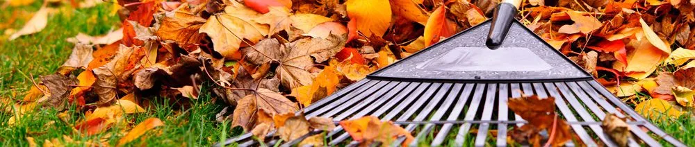 Local landscape installation in Lynn, MA - Cruz Landscaping