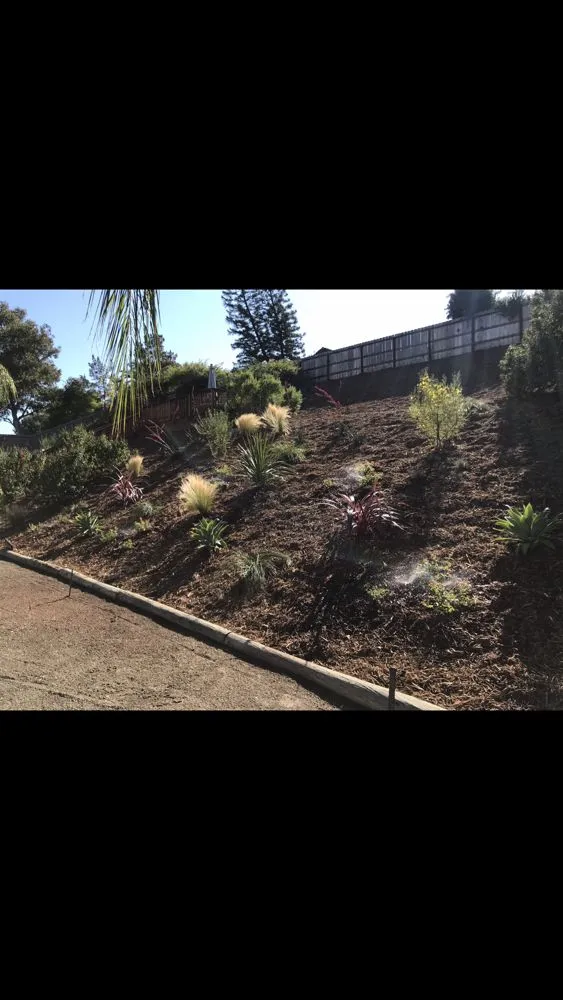 Reliable yard cleanup service in Oceanside, CA - CRUZ Landscaping Maintenance & Irrigation