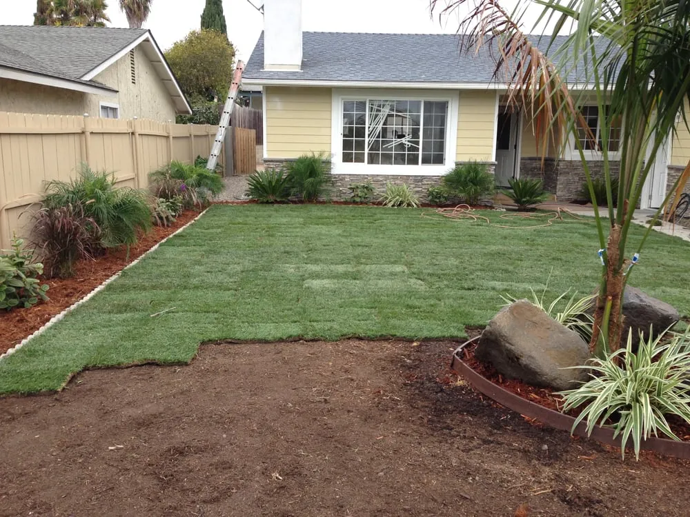 Affordable landscaping services near you in Oceanside, CA by CRUZ Landscaping Maintenance & Irrigation
