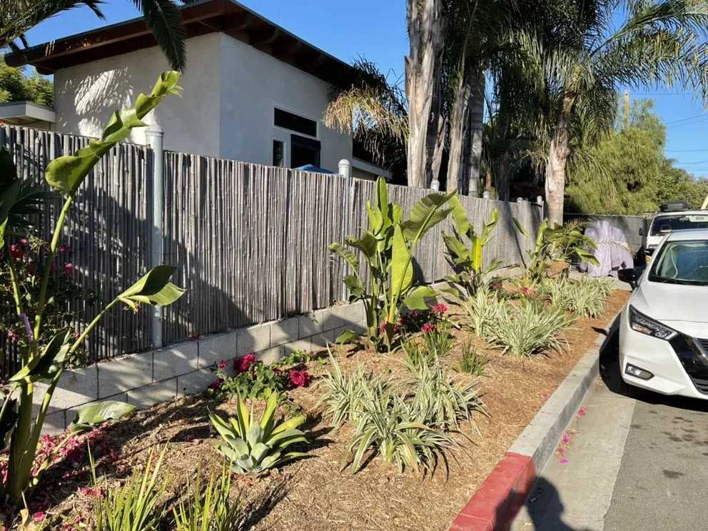 Affordable lawn care service experts serving Oceanside, CA - CRUZ Landscaping Maintenance & Irrigation