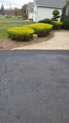 Top-rated yard maintenance in Medina, NY by Cruz Landscaping