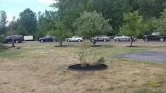 Expert yard maintenance for outdoor upgrades across Medina, NY - Cruz Landscaping