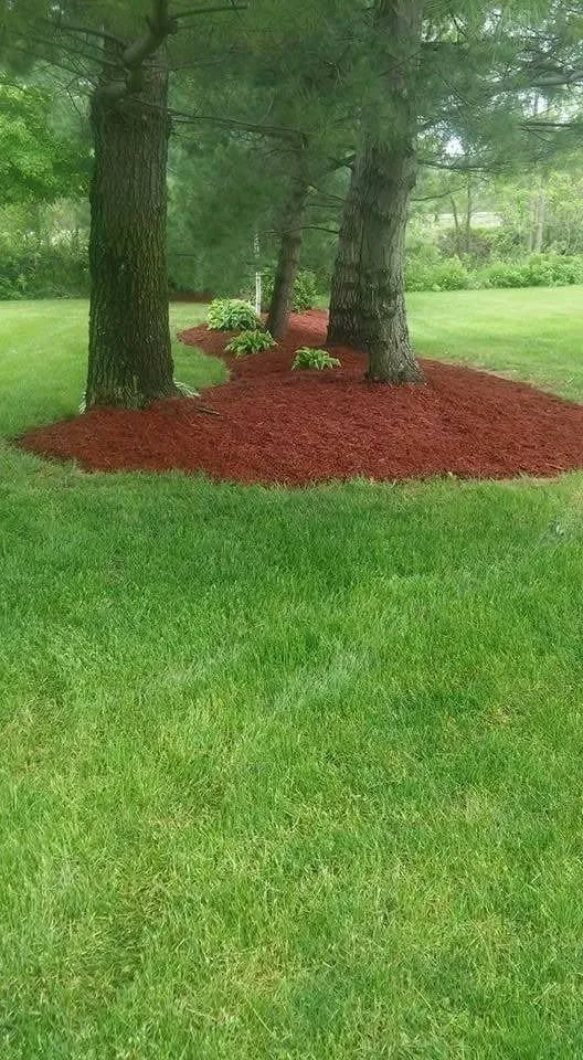 Reliable landscape installation in Medina, NY by Cruz Landscaping