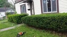 Professional garden landscaping in Medina, NY by Cruz Landscaping