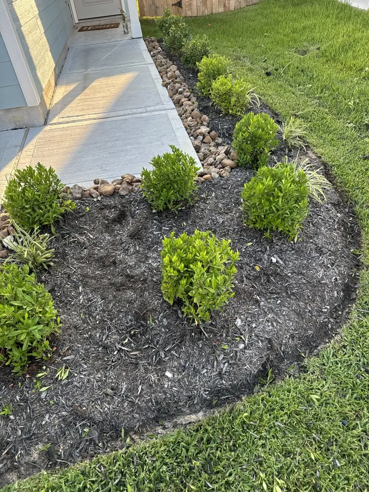 Local yard maintenance for beautiful yards across New Caney, TX - Cruz Landscaping