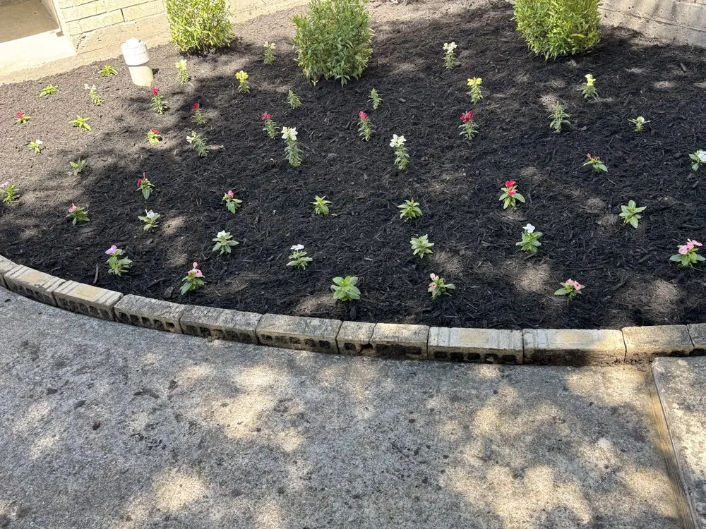 Custom landscaping services in New Caney, TX - Cruz Landscaping