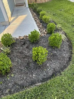 Cruz Landscaping Logo