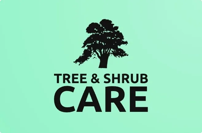 Affordable lawn mowing service for homes across New Castle, CO - Cruz Landscaping